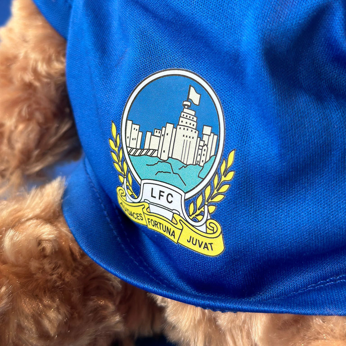 Linfield Large Teddy Bear