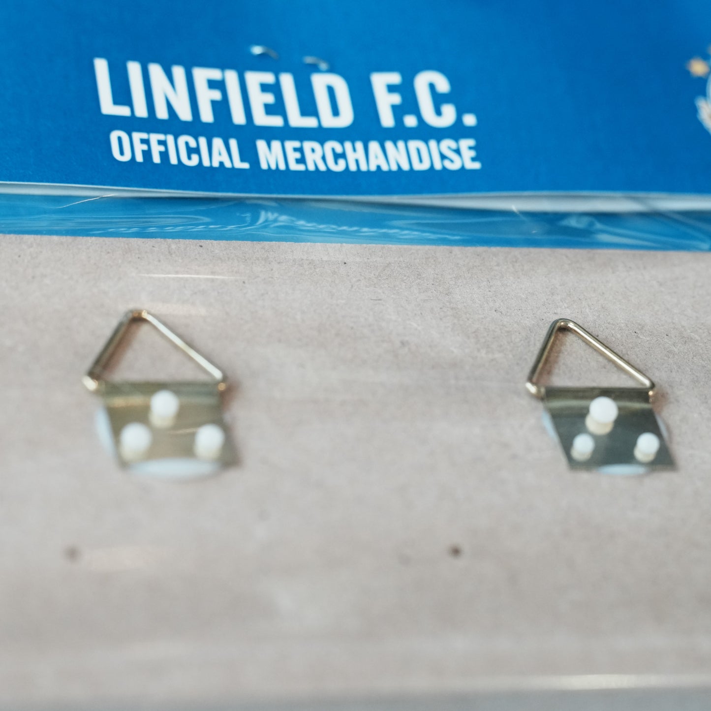 Linfield Street Sign Key Hanger