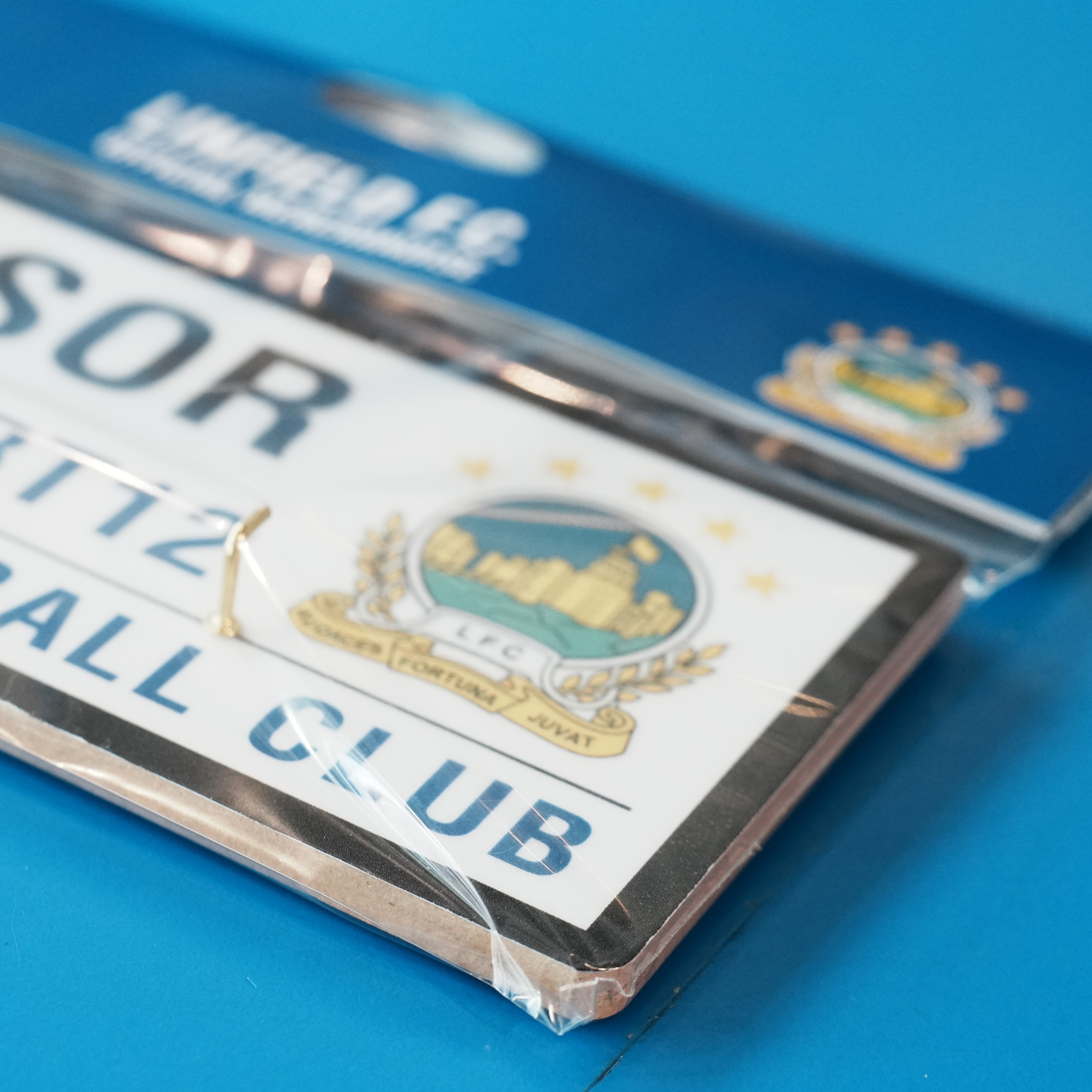 Linfield Street Sign Key Hanger