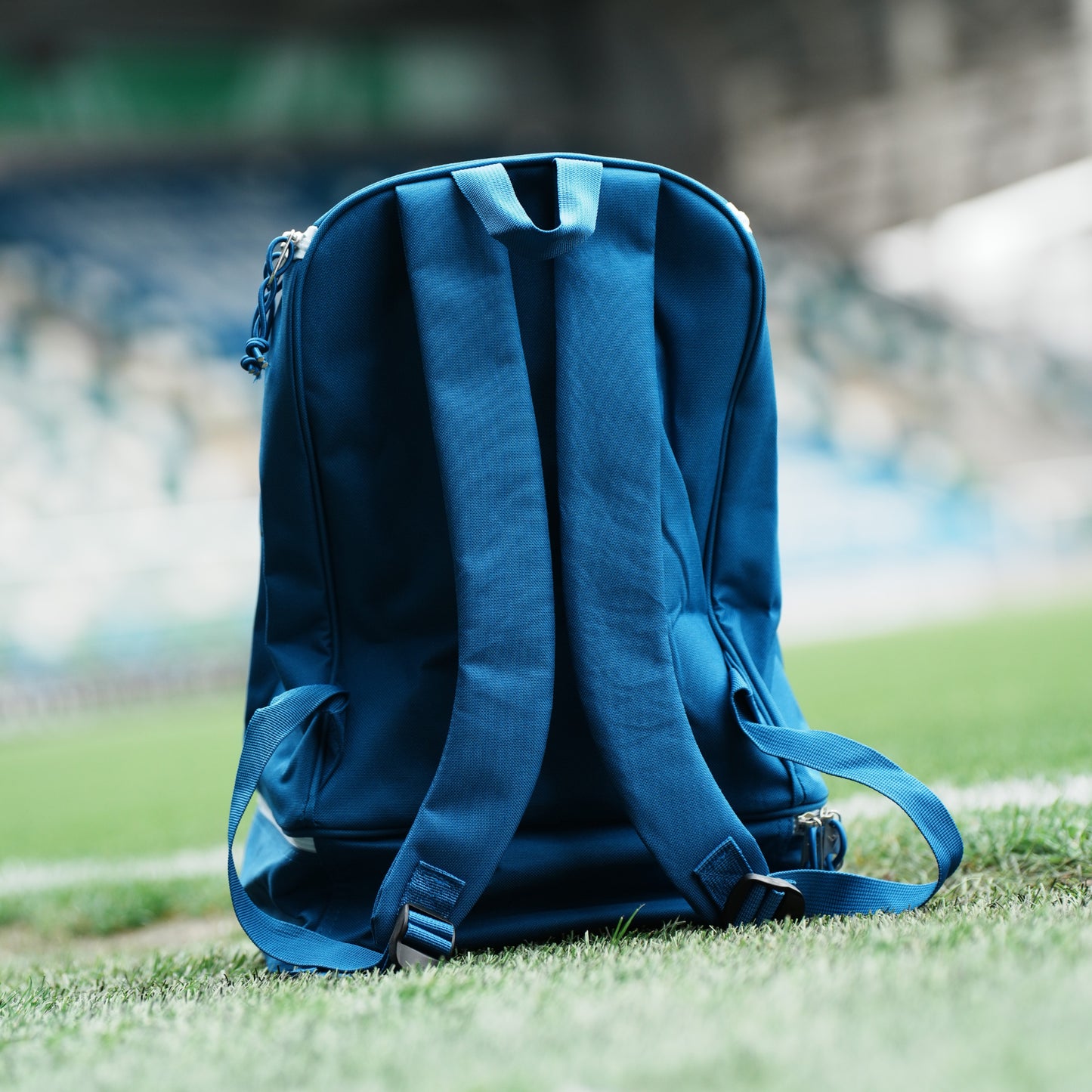 Linfield Path Backpack Bag - Blue